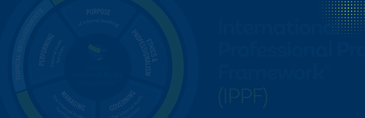 Beroepsnormen IPPF 2024