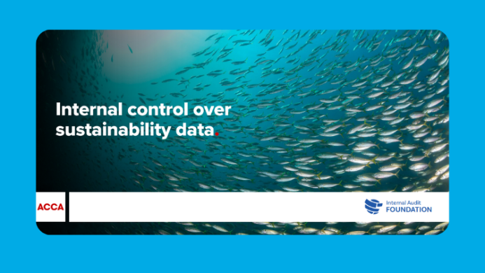 Internal control over sustainability data