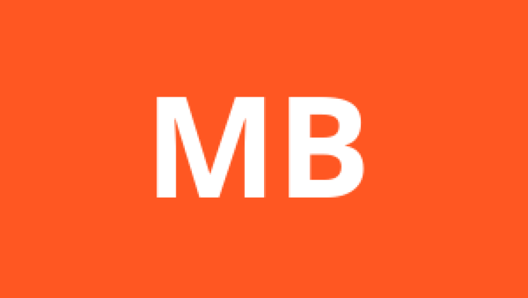 Masterclass Behavioural auditing