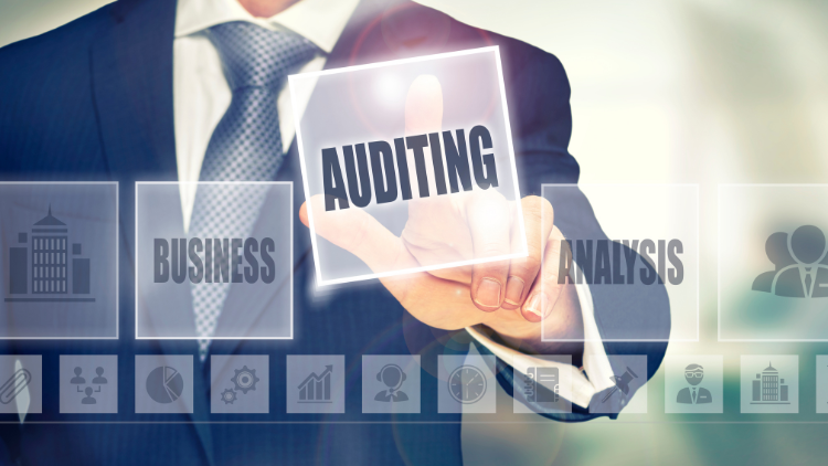 Masterclass Behavioural Auditing