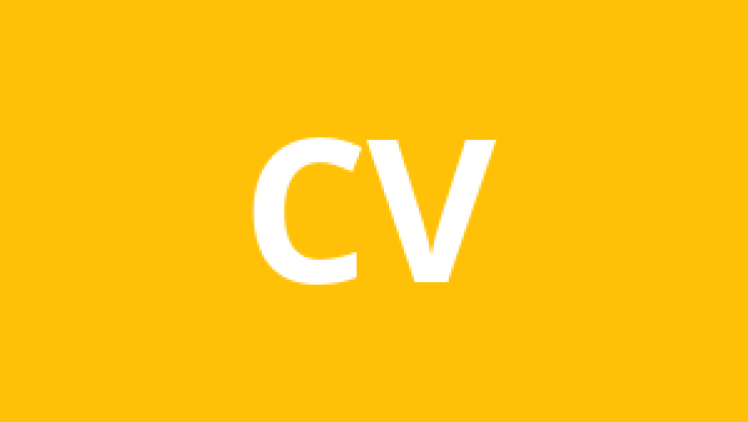 Copilot voor Internal Auditors