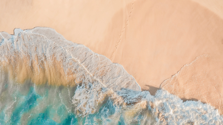 Psychologische Veiligheid (2 dagen)