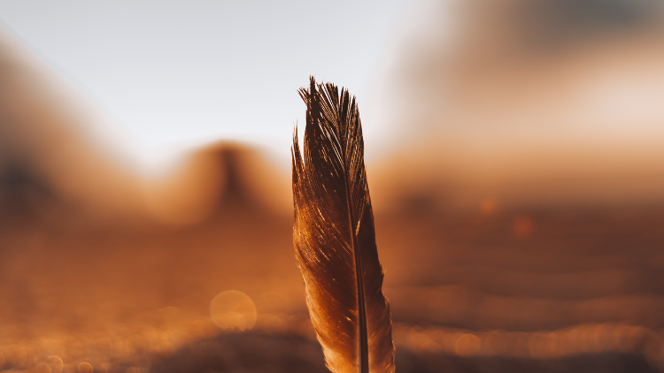 Veerkrachtig en duurzaam (zelf)management